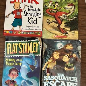 Kids Early Chapter Book Bundle Stink Flat Stanley Dinosaur Cove